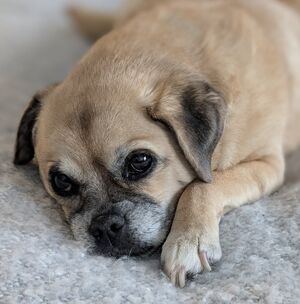 Meet your Posher, Mekea